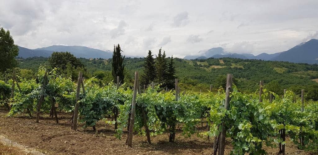 Tra elicotteri e vini: a Nusco nasce la cantina Poderi Visone
