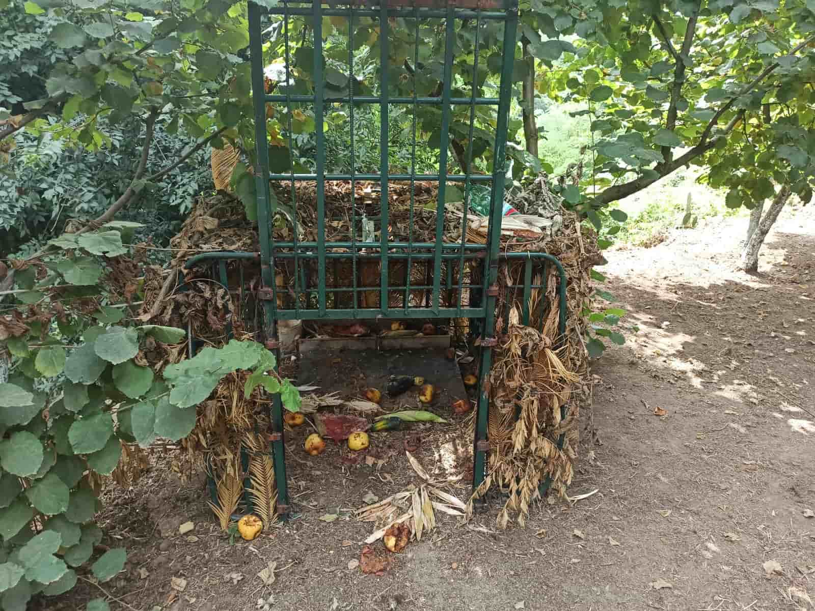 Calvi Risorta (CE), sequestrate trappole per la cattura illegale di cinghiali