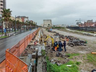Napoli: prime piantumazioni di alberi al Parco della Marinella