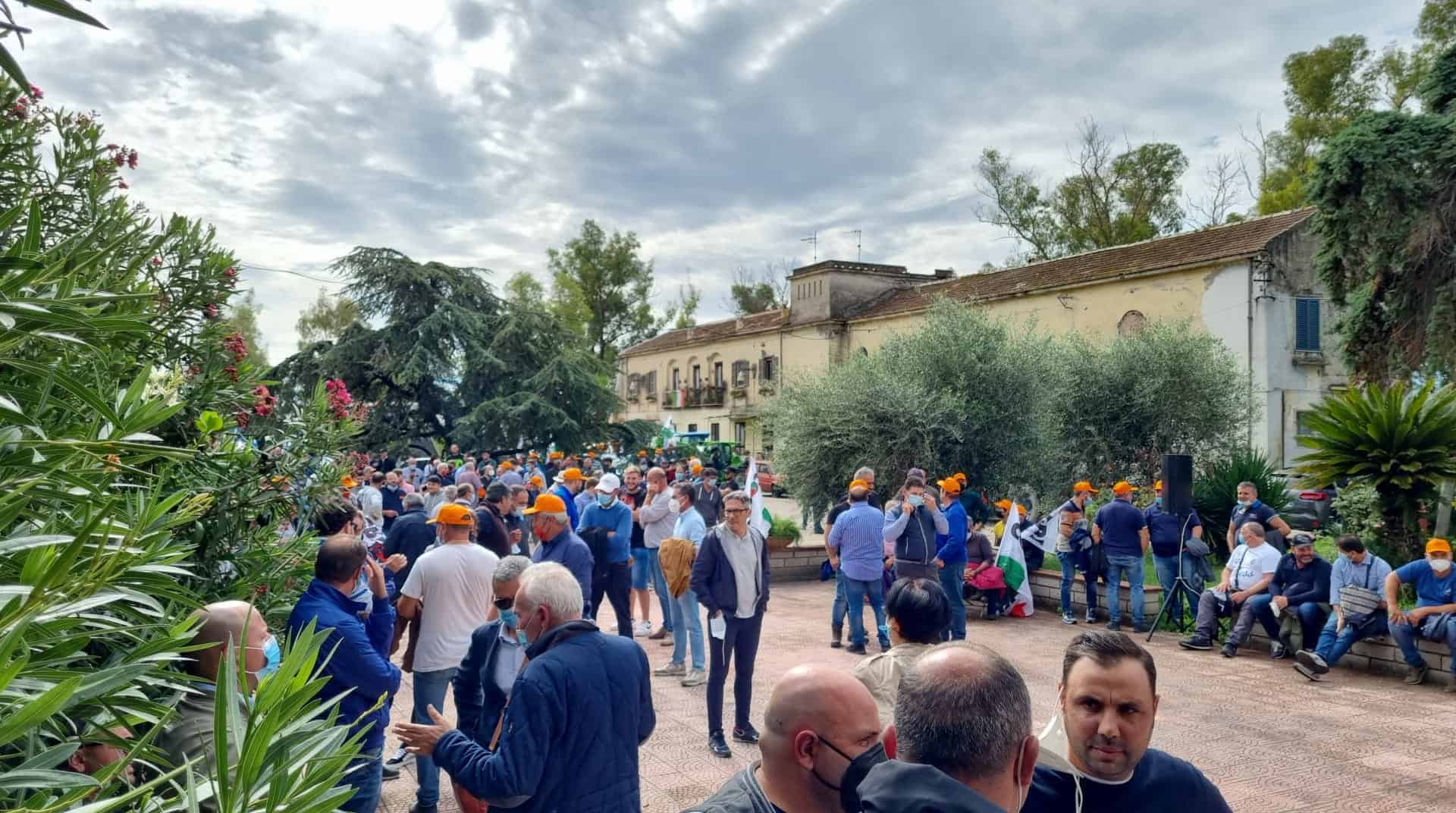 Immagine articolo