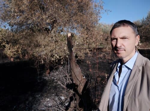 Tofalo (M5S): "Totale solidarietà ad Enrico Faina"