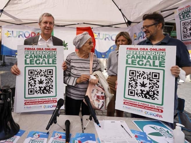 Cannabis legale e partecipazione politica: è davvero la rivoluzione digitale della democrazia?