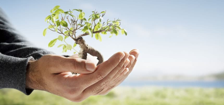 I nuovi settori produttivi lavorano in modo sempre più ecosostenibile