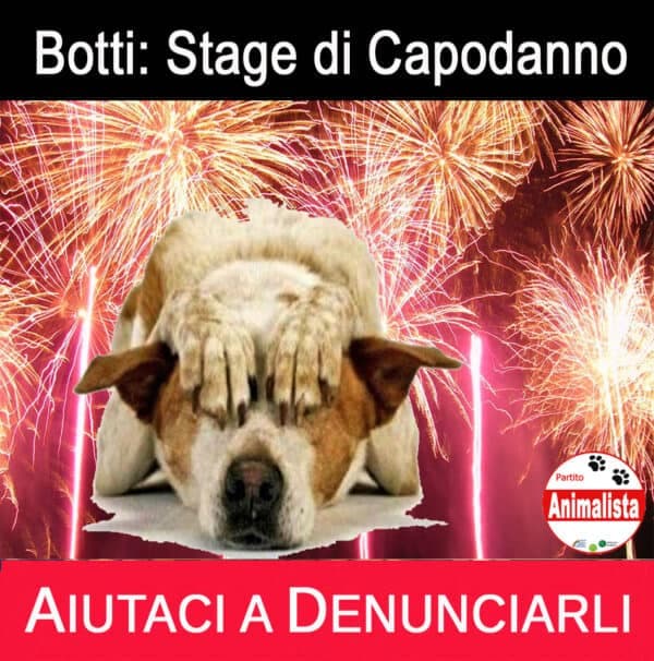 Partito Animalista: strage di animali a Capodanno per botti e petardi