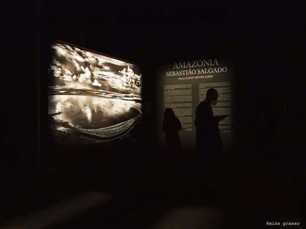 MAXXI di Roma, il polmone verde del mondo attraverso la fotografia