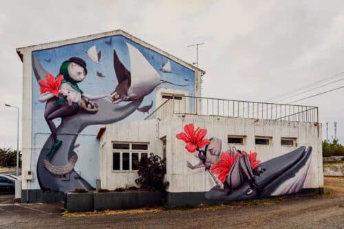 INTERVISTA. Zed1: la rivoluzione degli eco murales