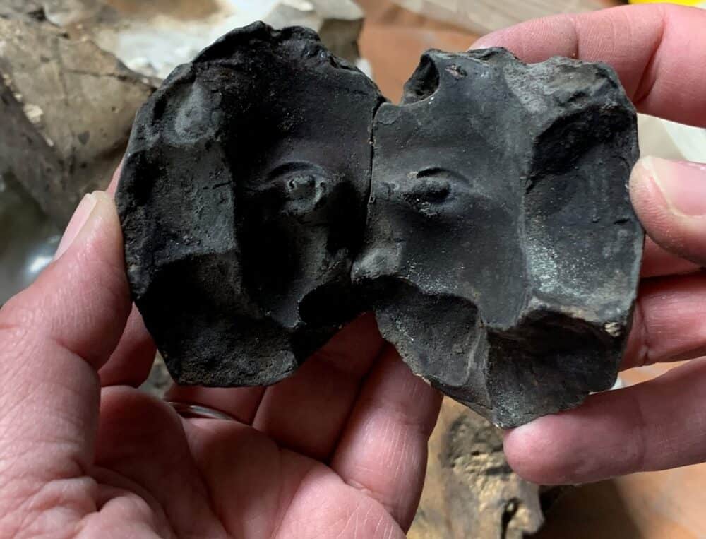 informareonline-parco-archeologico-di-pompei-acquisite-1650-riproduzioni-di-opere-darte-della-fonderia-chiurazzi