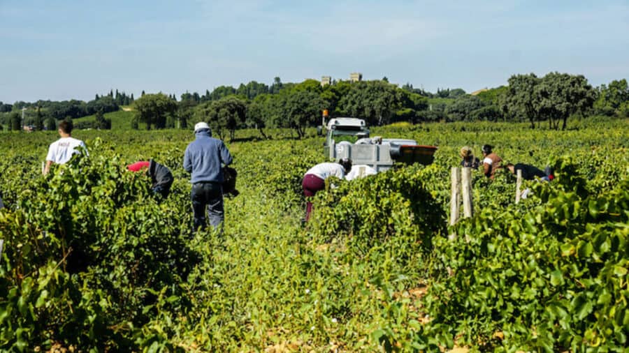 Campania, chiuse 8 attività agricole: 25 lavoratori in "nero"