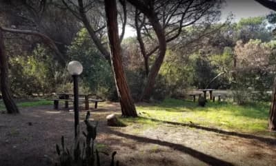 Rischio d'incendio nella riserva naturale Costa di Licola. Arrestato il piromane