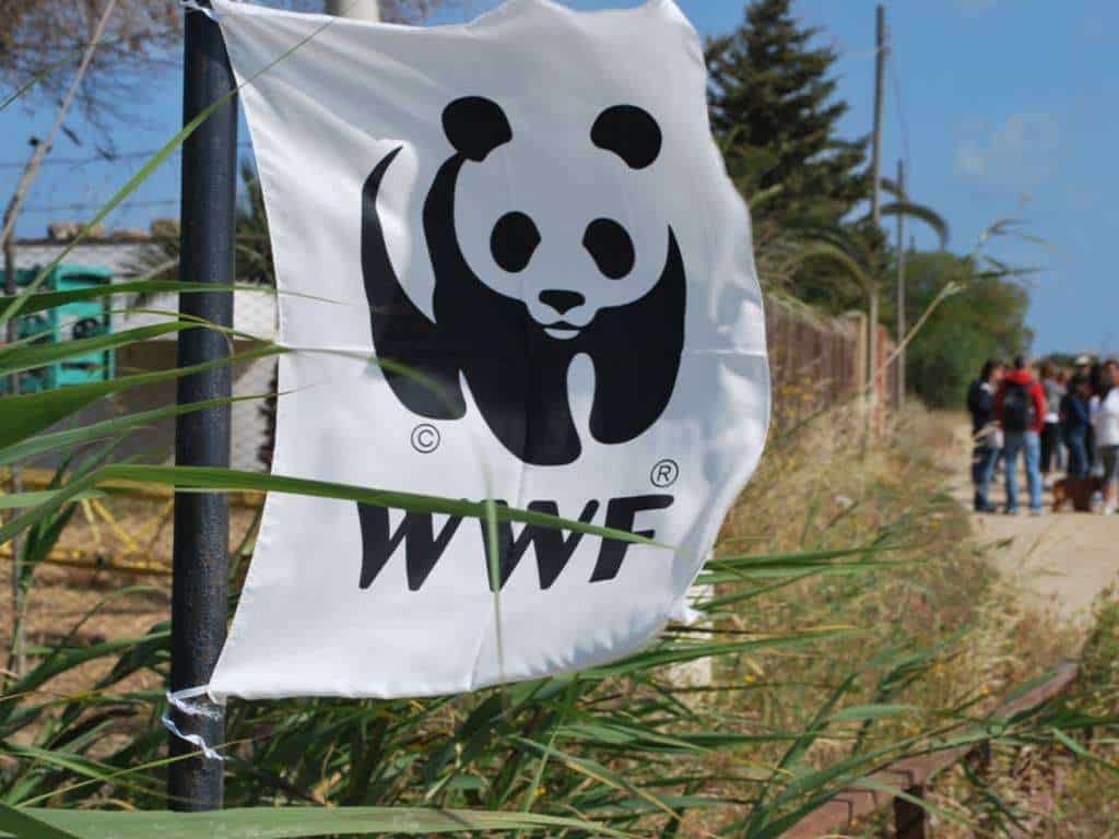 Earth Hour 2025: il WWF Napoli invita a regalare un'ora al pianeta e a te stesso