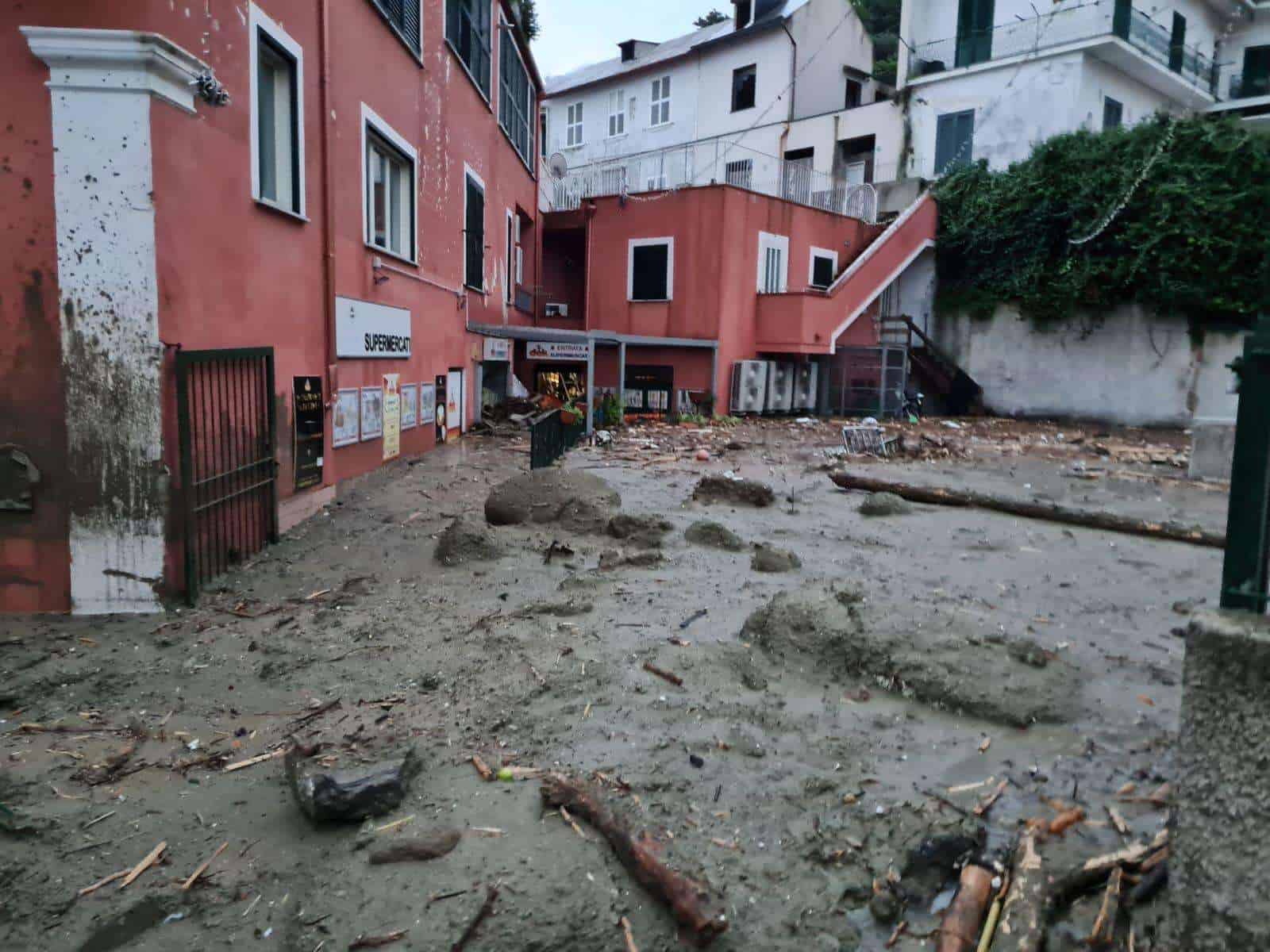 Immagine articolo