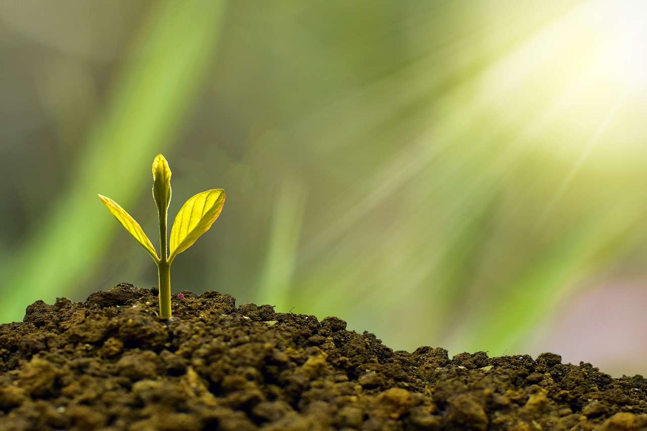 Green Jobs, quando il lavoro diventa verde