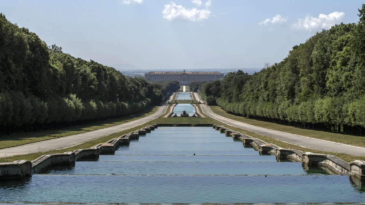 Reggia di Caserta: quale sarà il futuro dei lecci secolari?