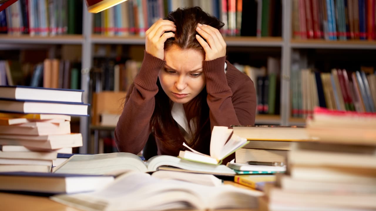 "Cosa vuoi fare da grande?": dagli studi al mondo del lavoro