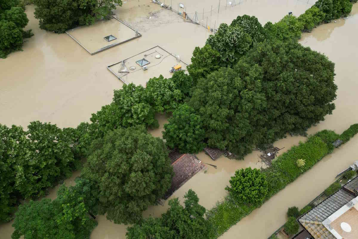 Alluvione in Emilia Romagna, distrutto il rifugio Made in Bunny