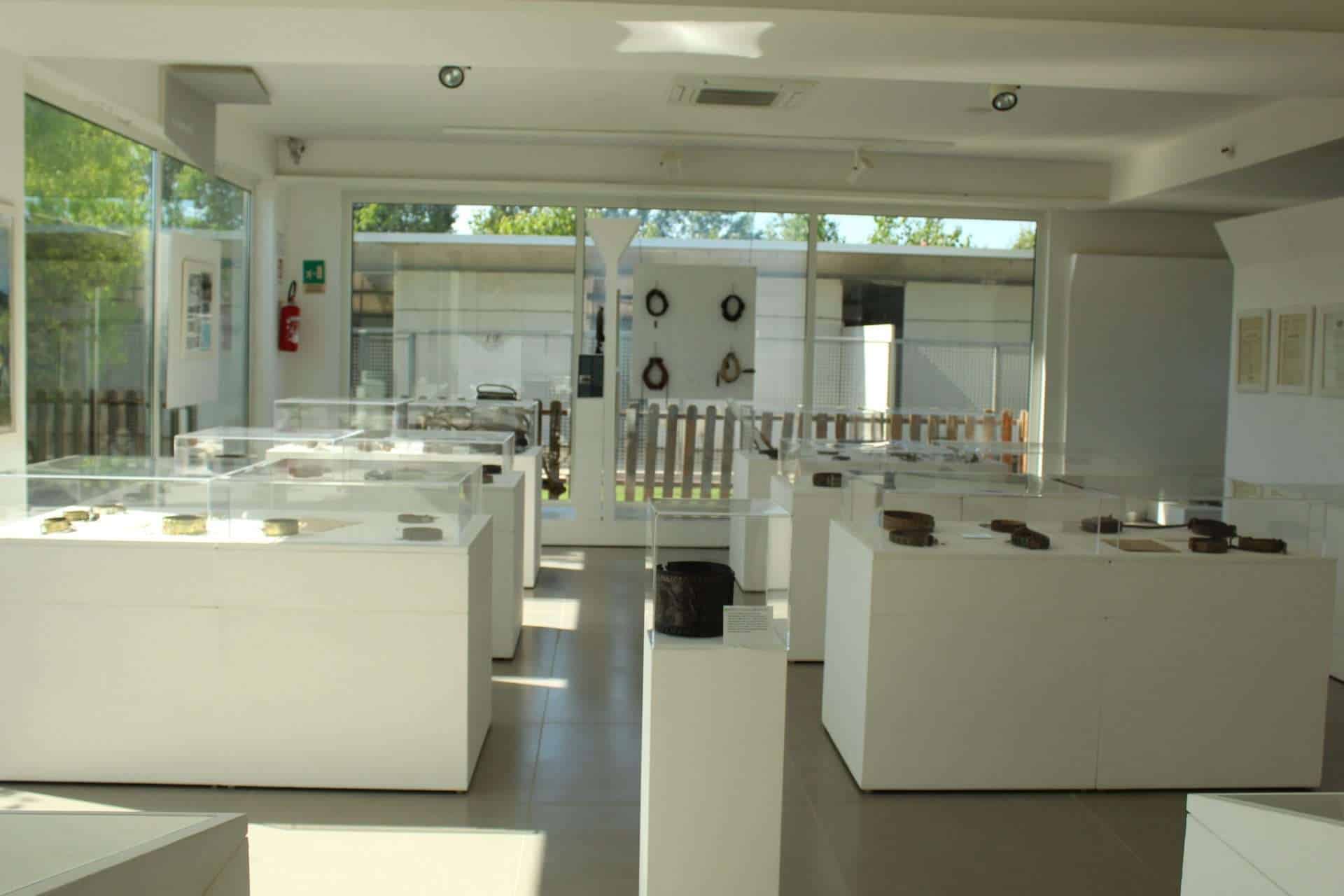 Foof: a Mondragone l'unico Museo del Cane d'Europa
