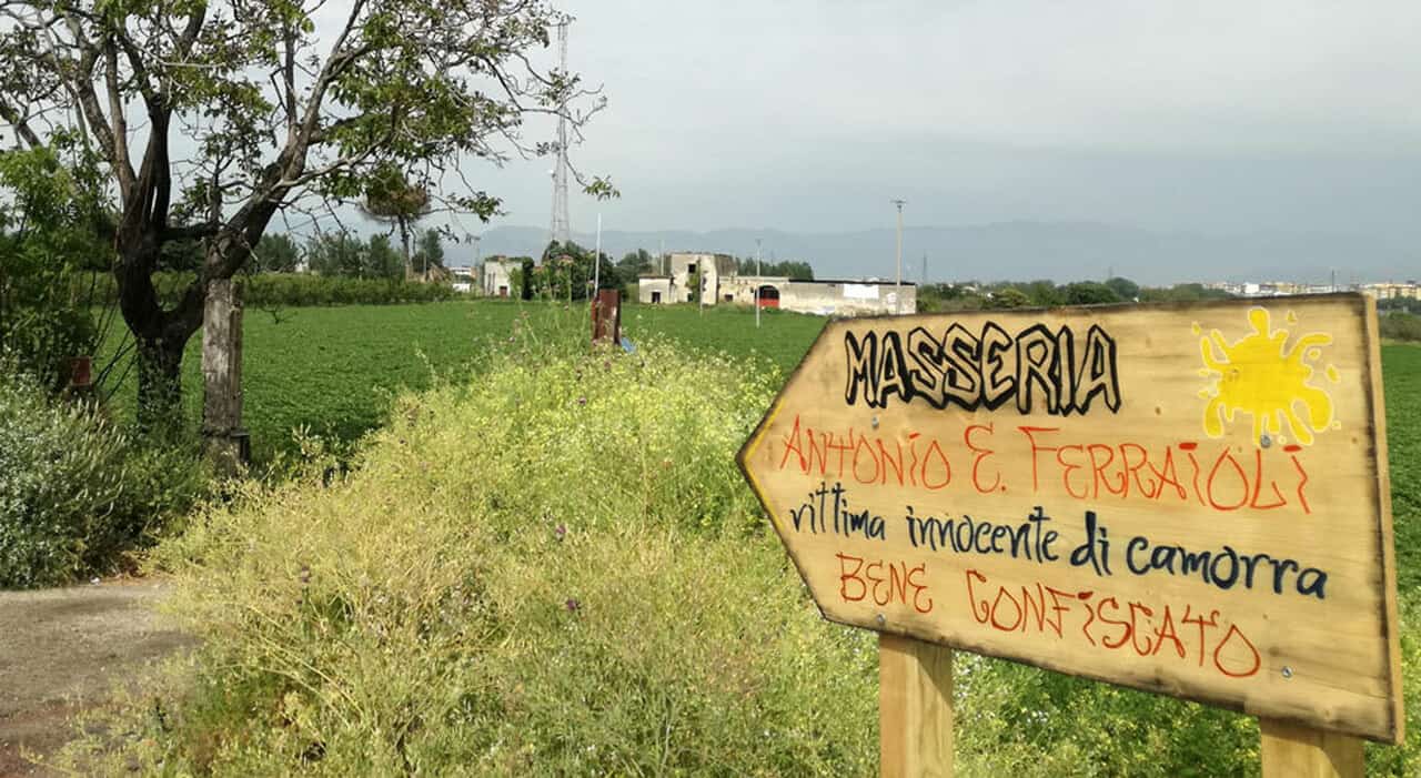 Afragola: piantumazione di un albero di kaki alla Masseria Esposito Ferraioli
