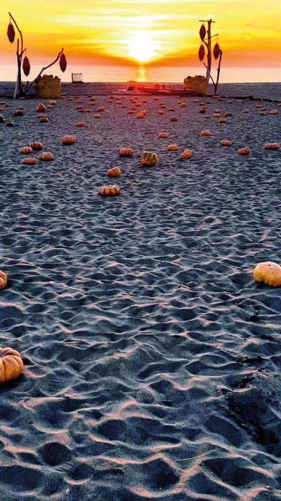 Immagine articolo
