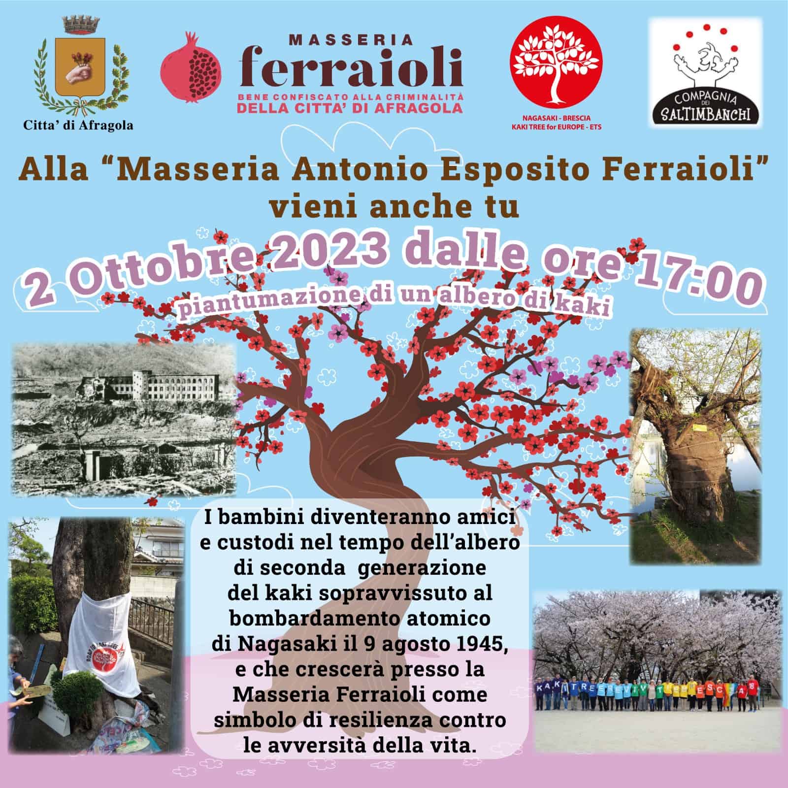 Immagine articolo