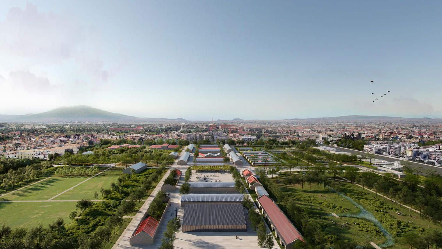 area macrico