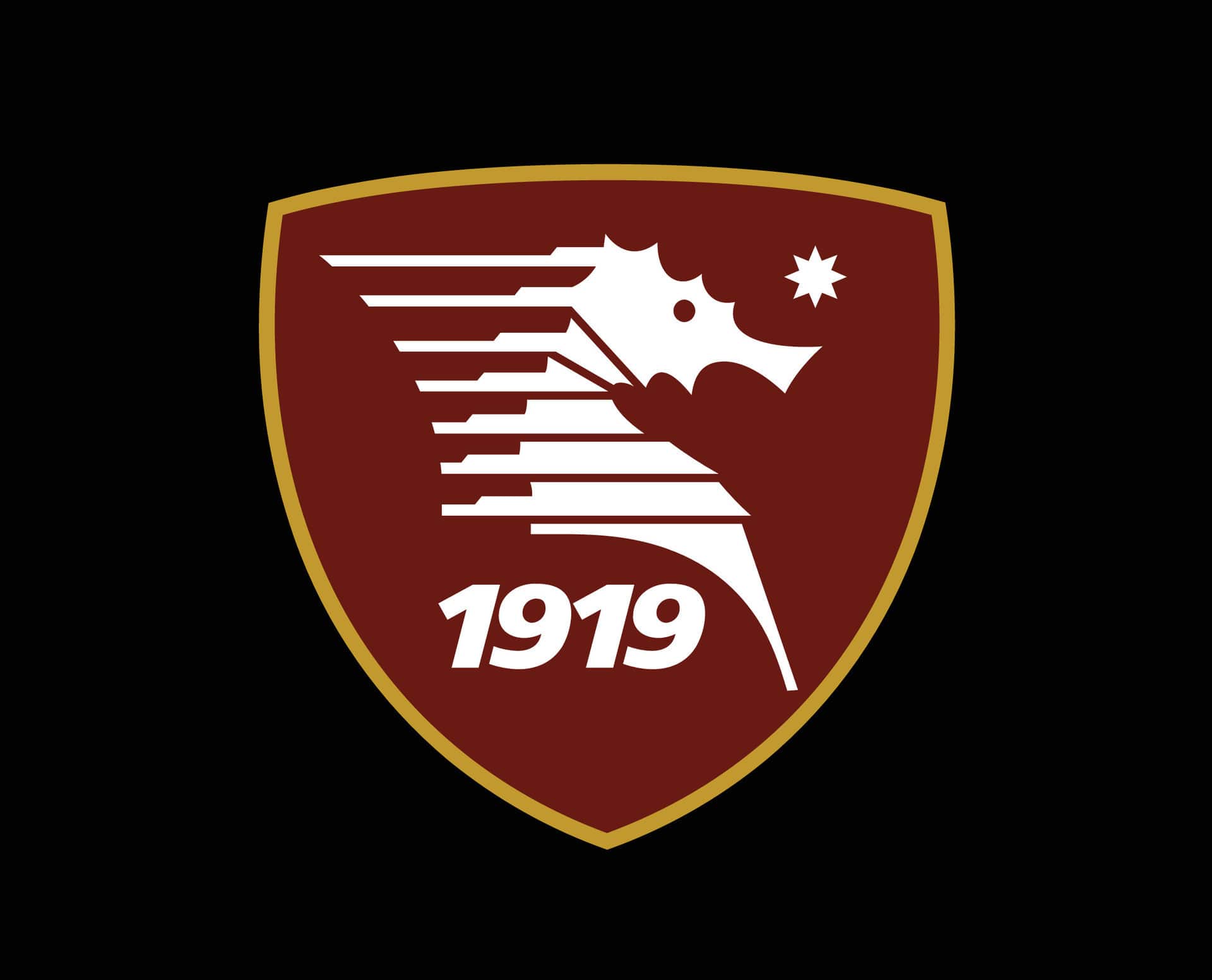 Salernitana, inizio stagione deludente: i problemi dei granata