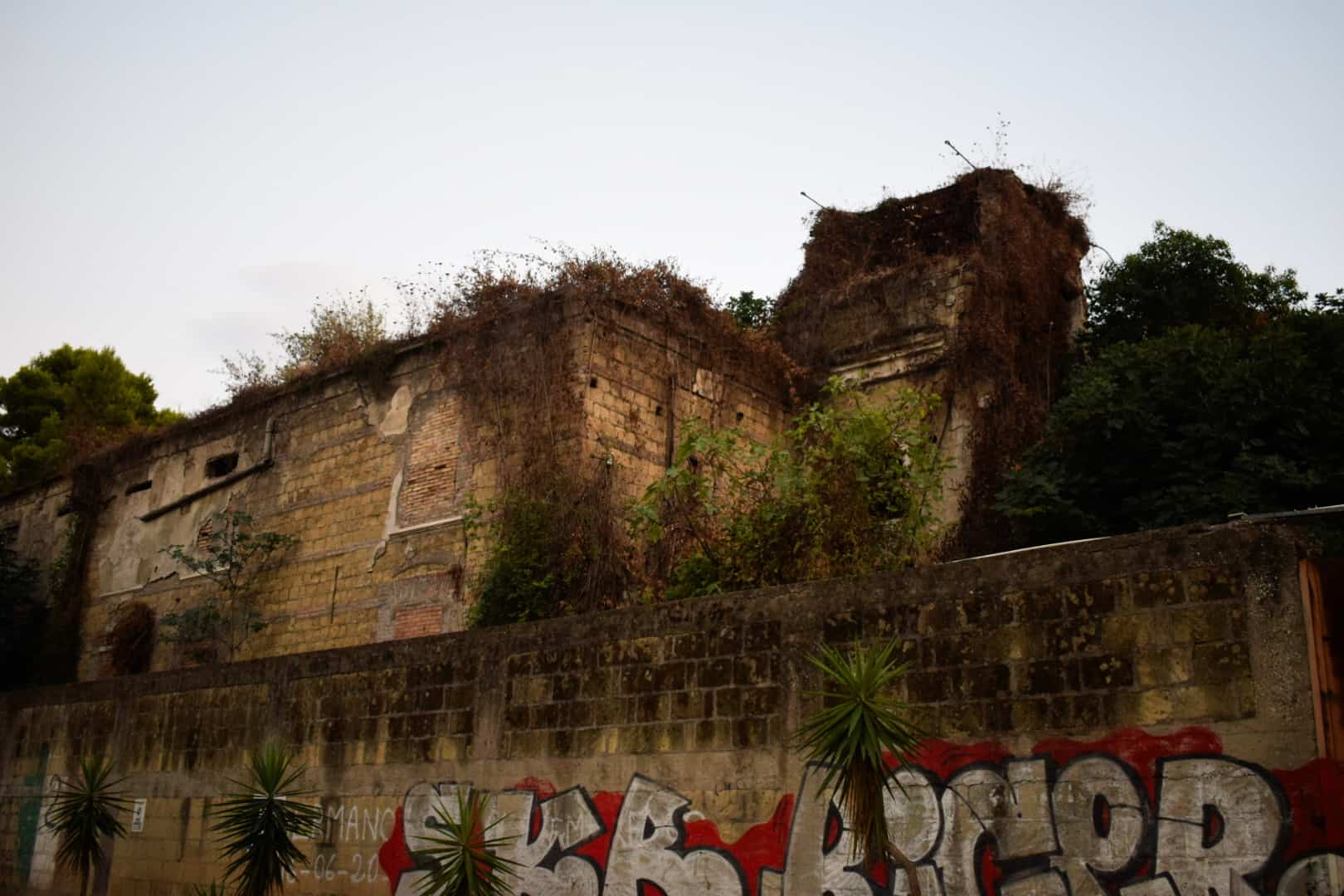 Quando era il Sud a dettare il passo: il primato della Stazione Bayard