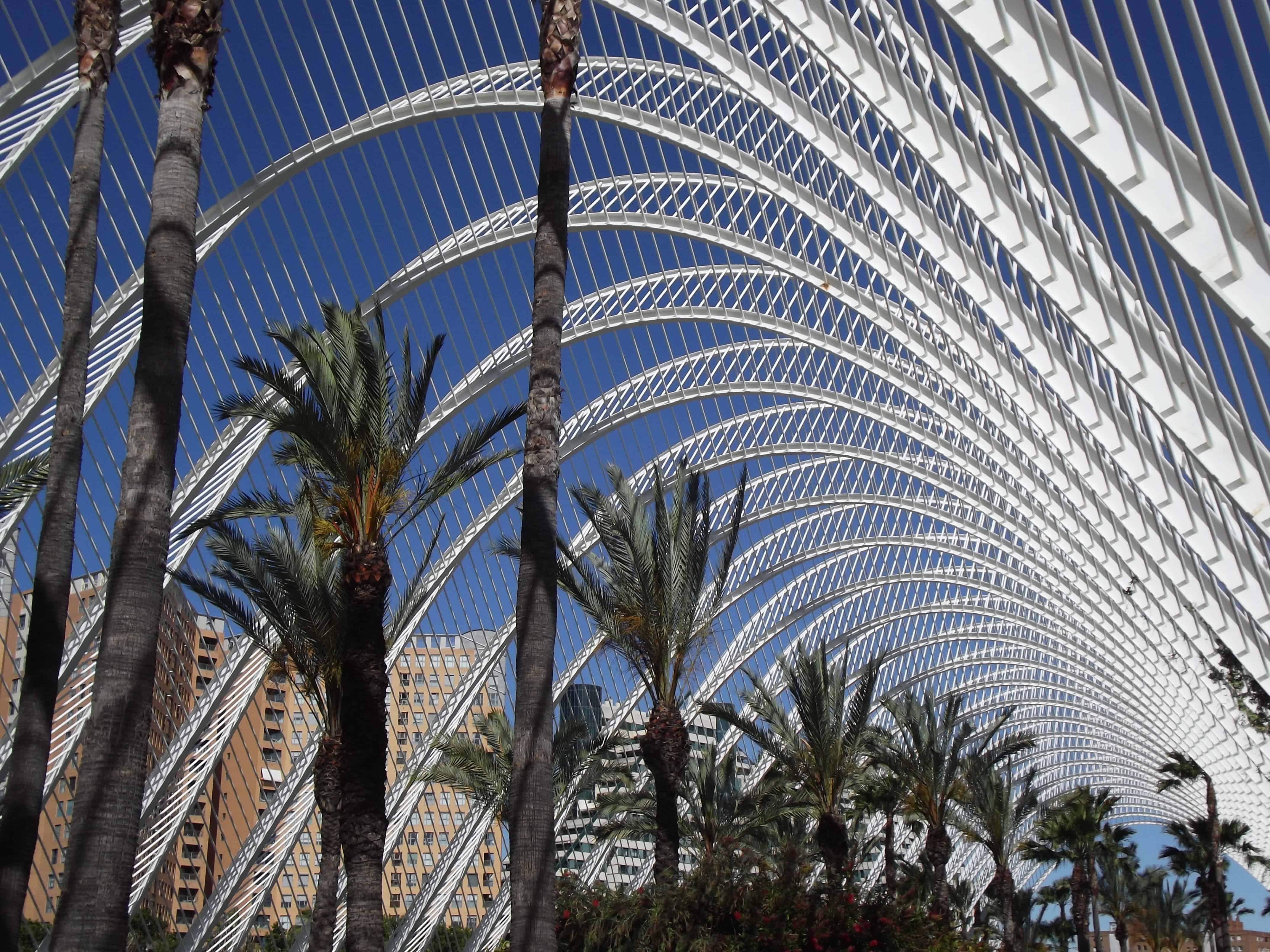 Valencia è la Capitale Verde Europea 2024