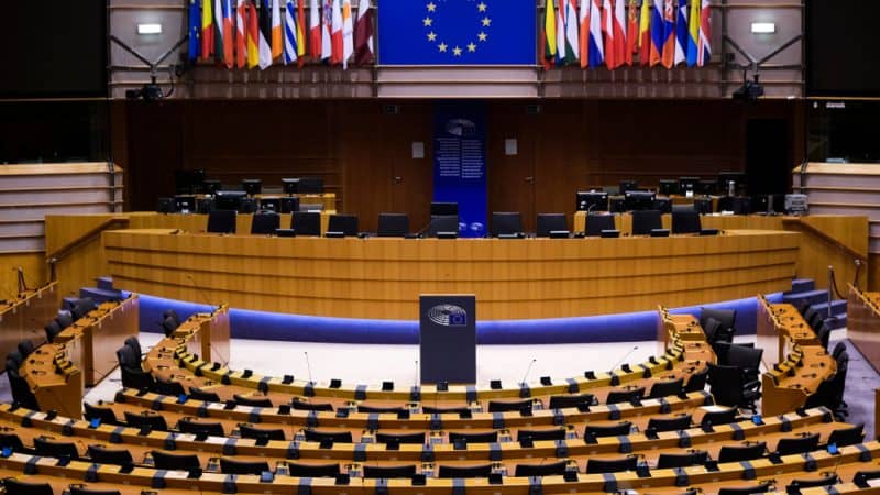 Europee 2024 e celebrities: i lati positivi dell'essere "influenti"