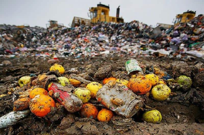 Spreco del cibo, nel nostro paese ogni anno 5,6 tonnellate di rifiuti
