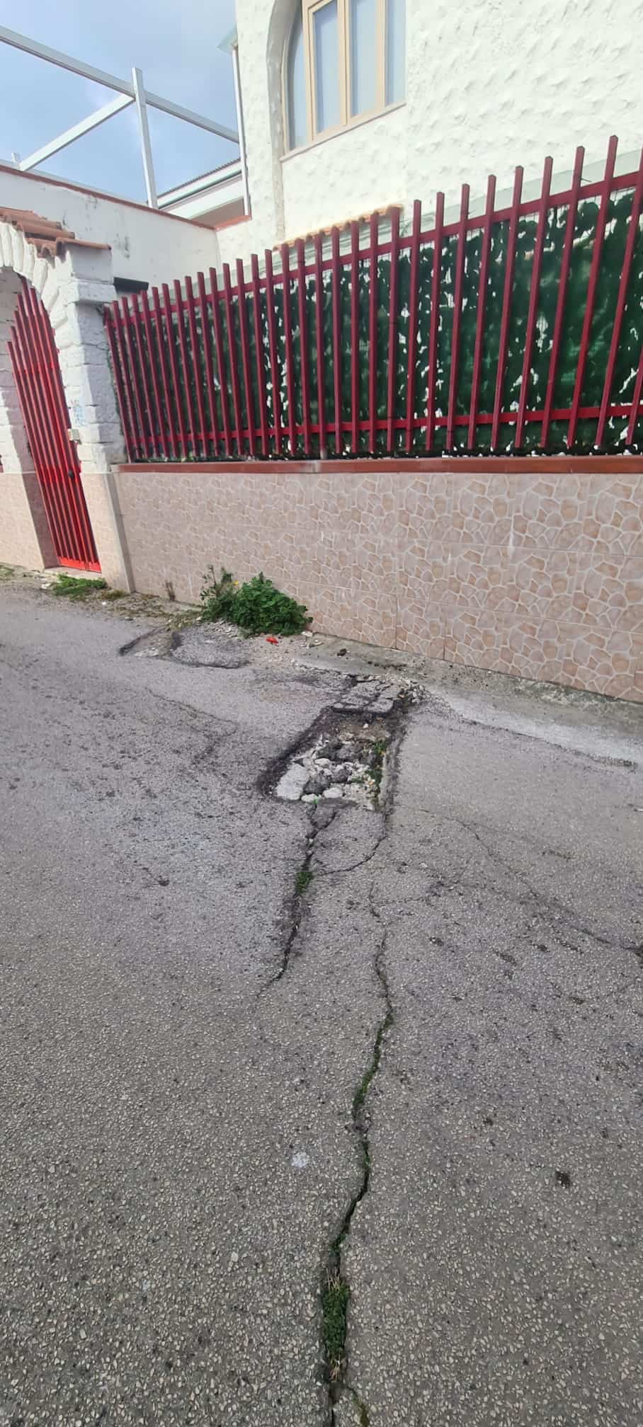 Immagine articolo