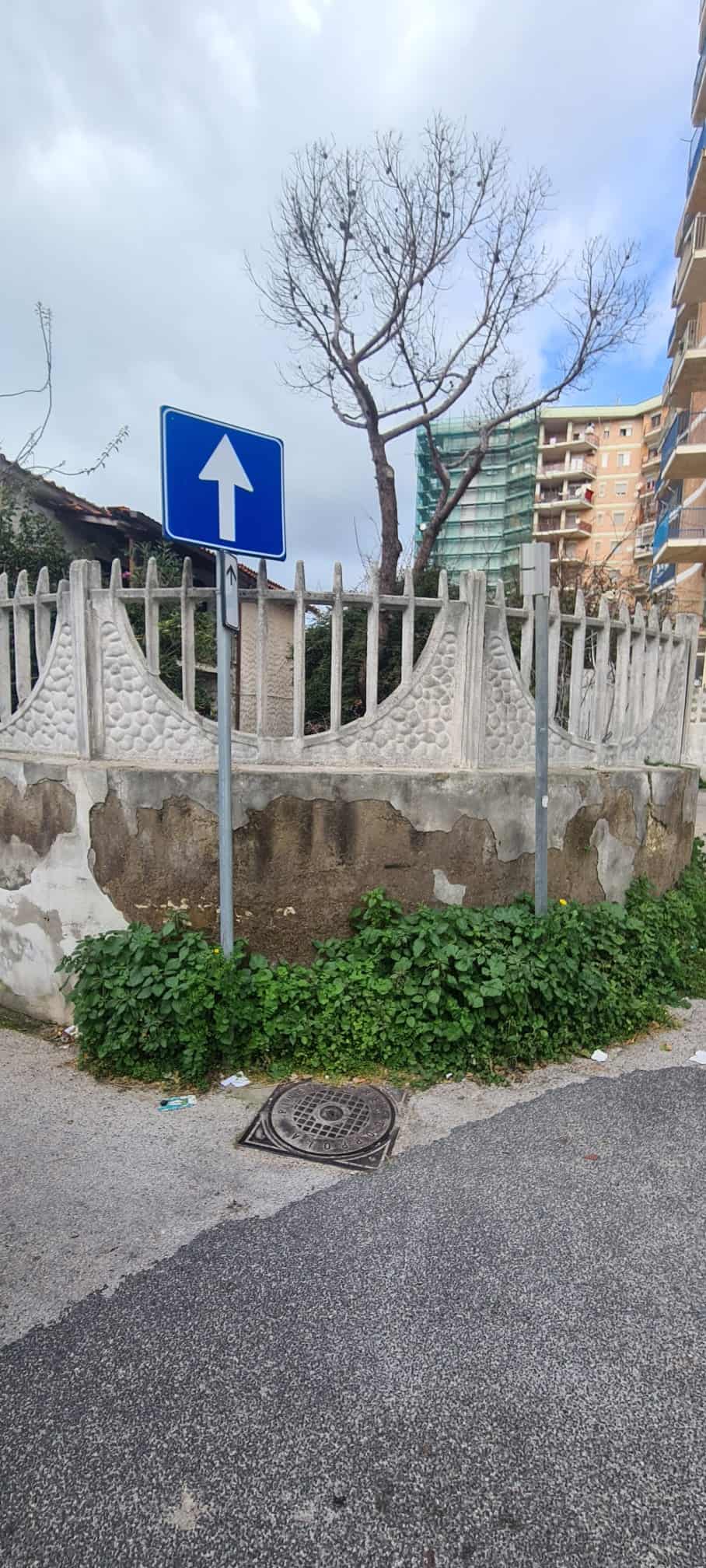 Immagine articolo