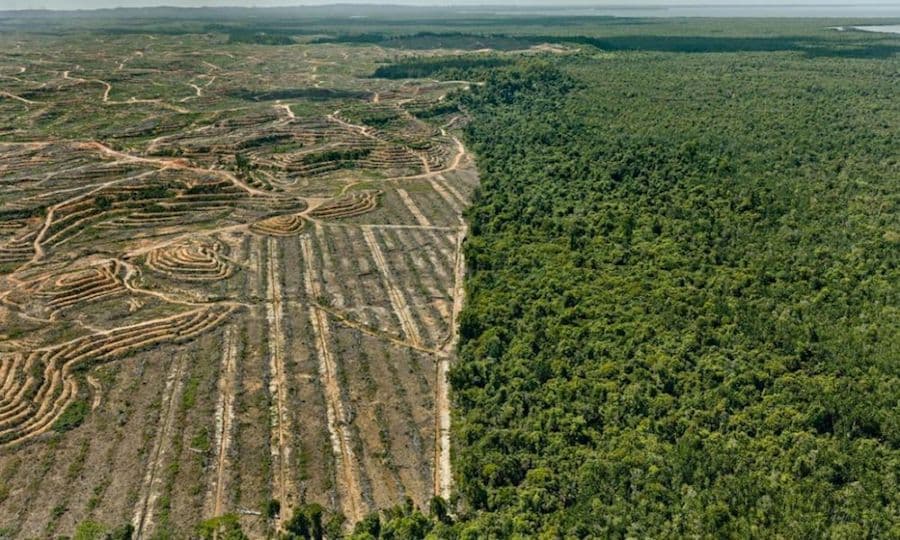L'Antropocene non segna una nuova era geologica