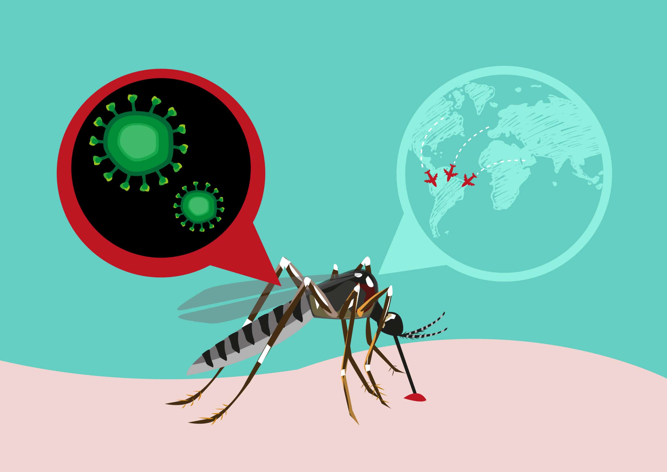 Febbre Dengue: intensificati i controlli al Cotugno, ma niente panico