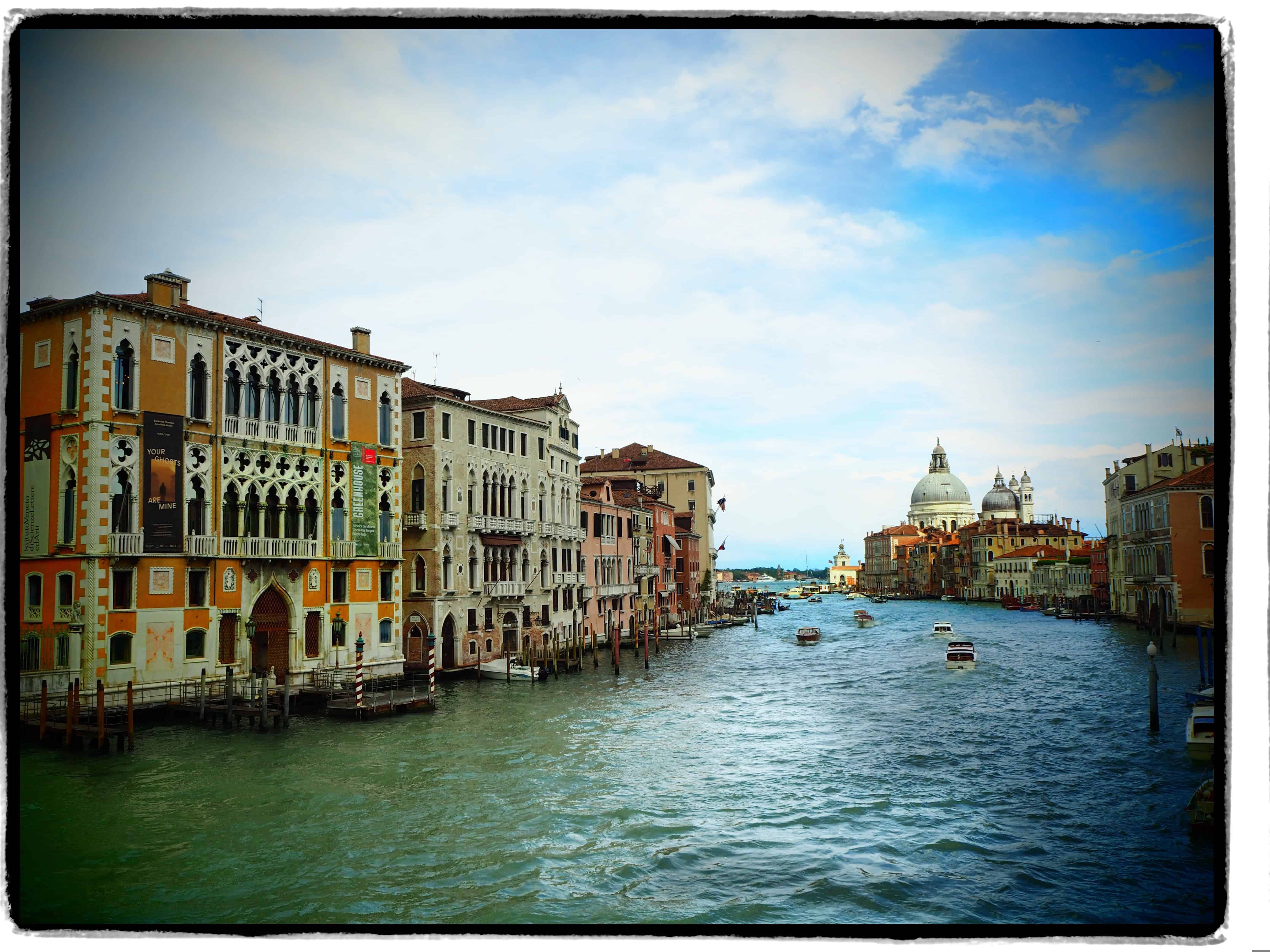 Si conclude la prima settimana di Biennale di Venezia 60