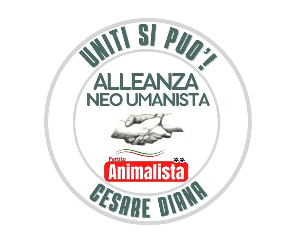Immagine articolo