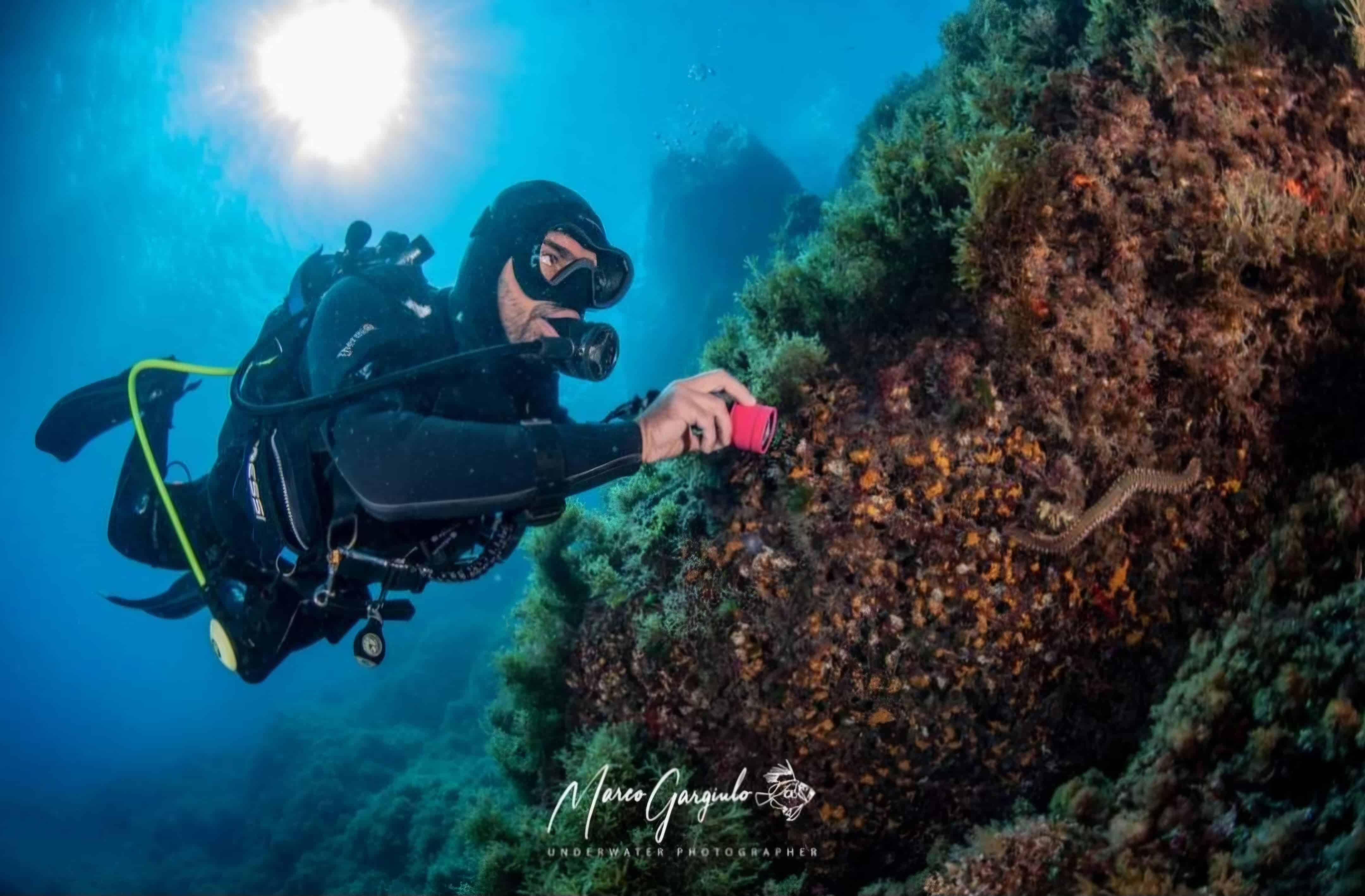 Un’immersione nei problemi del Mediterraneo con il biologo Fabio Russo
