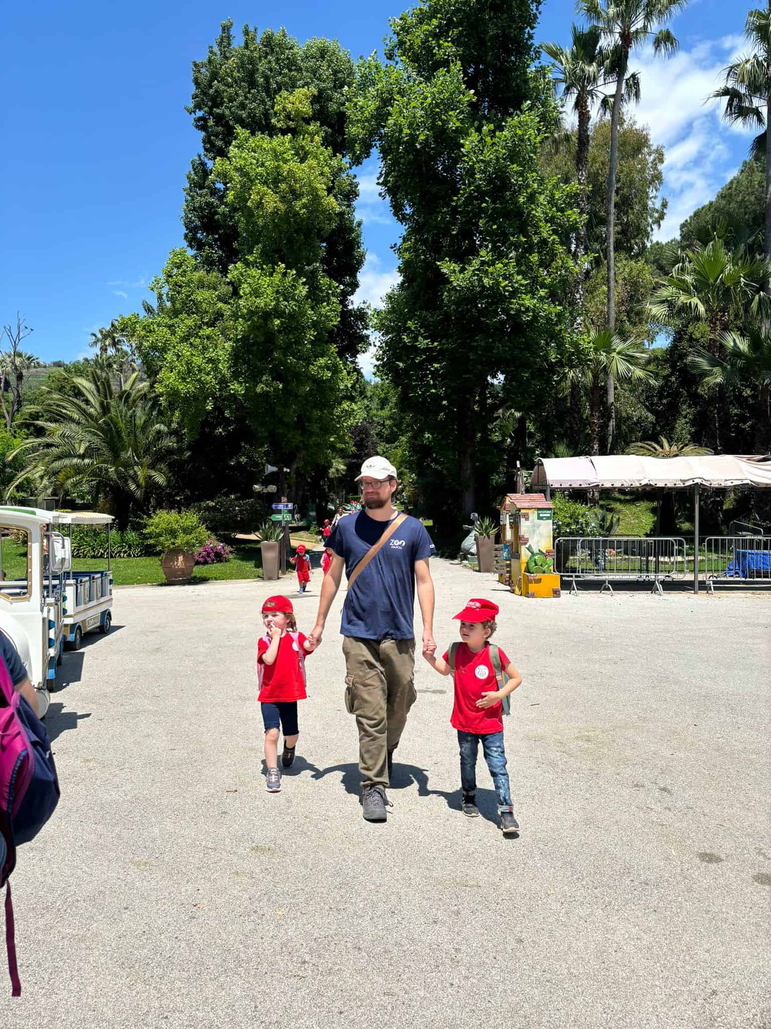 Zoo di Napoli, parla un operatore: "Bambini del centro disabituati agli animali"