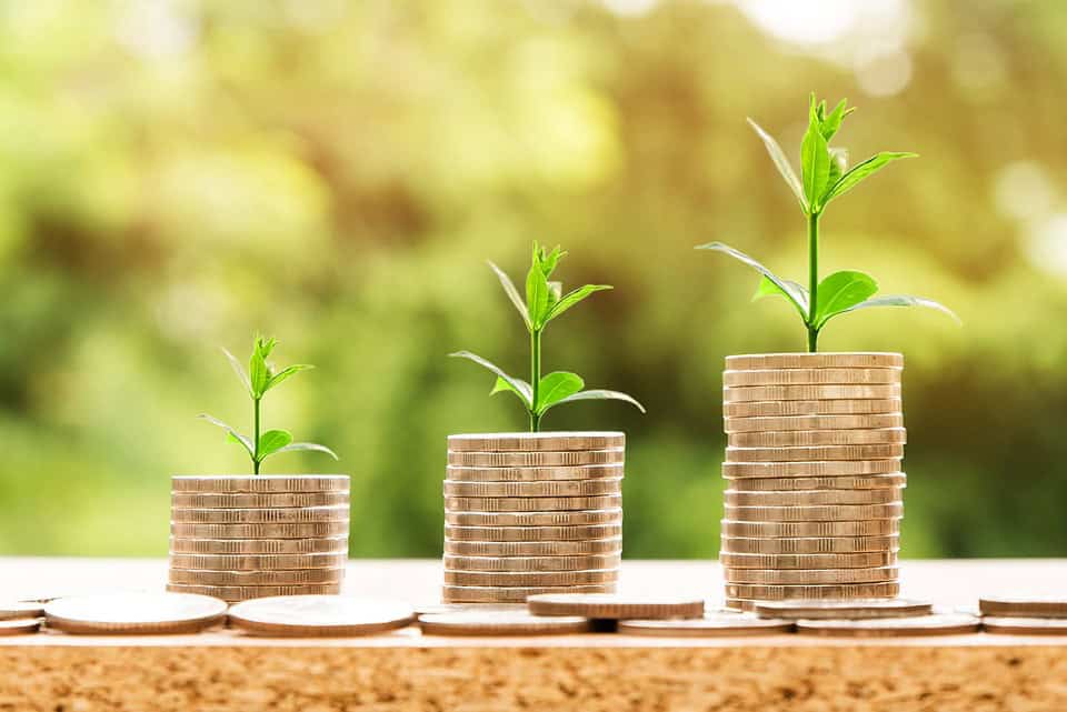 Dati Ocse: in Italia le buste paga non crescono