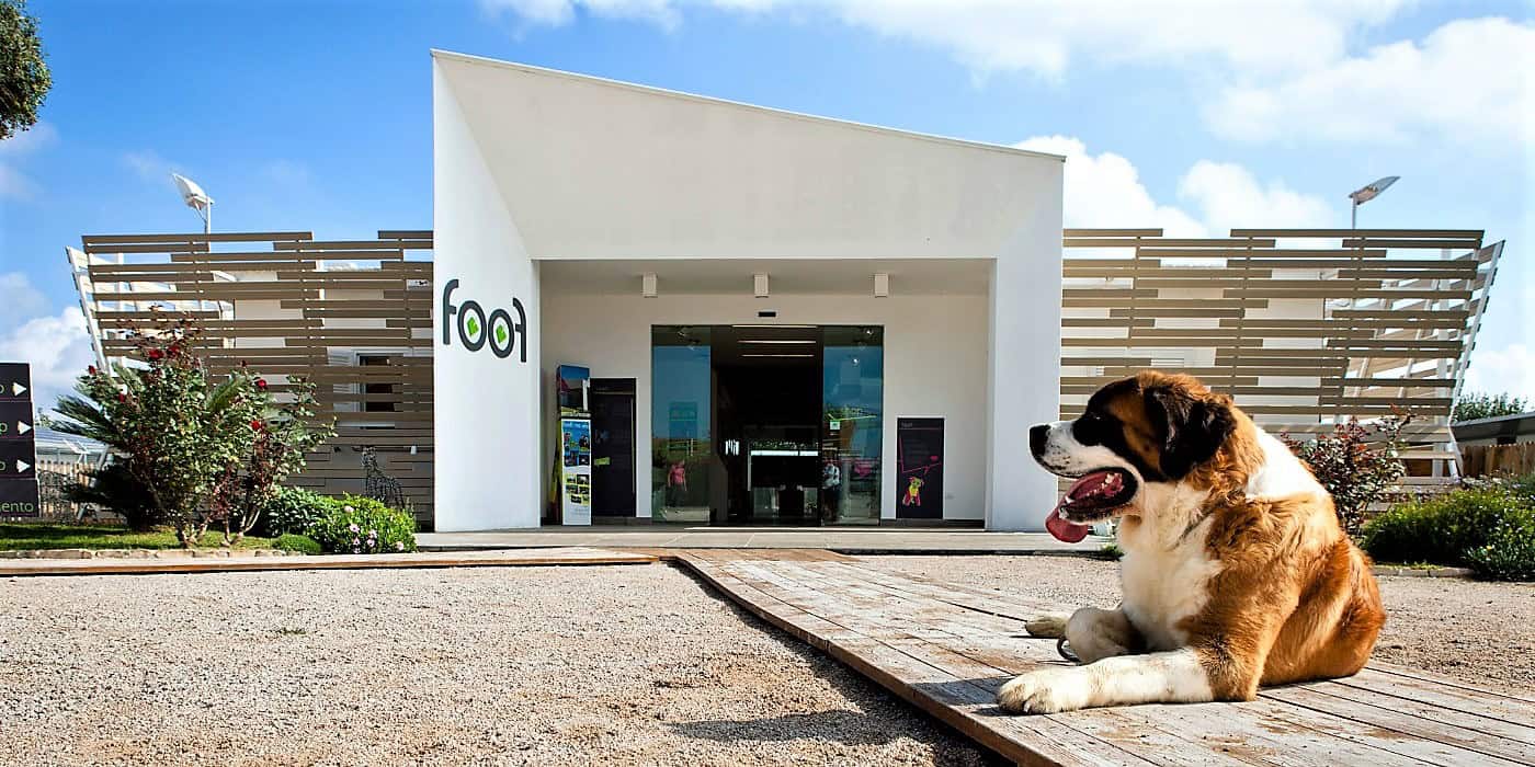 Foof - Museo del Cane: la storia di una realtà unica