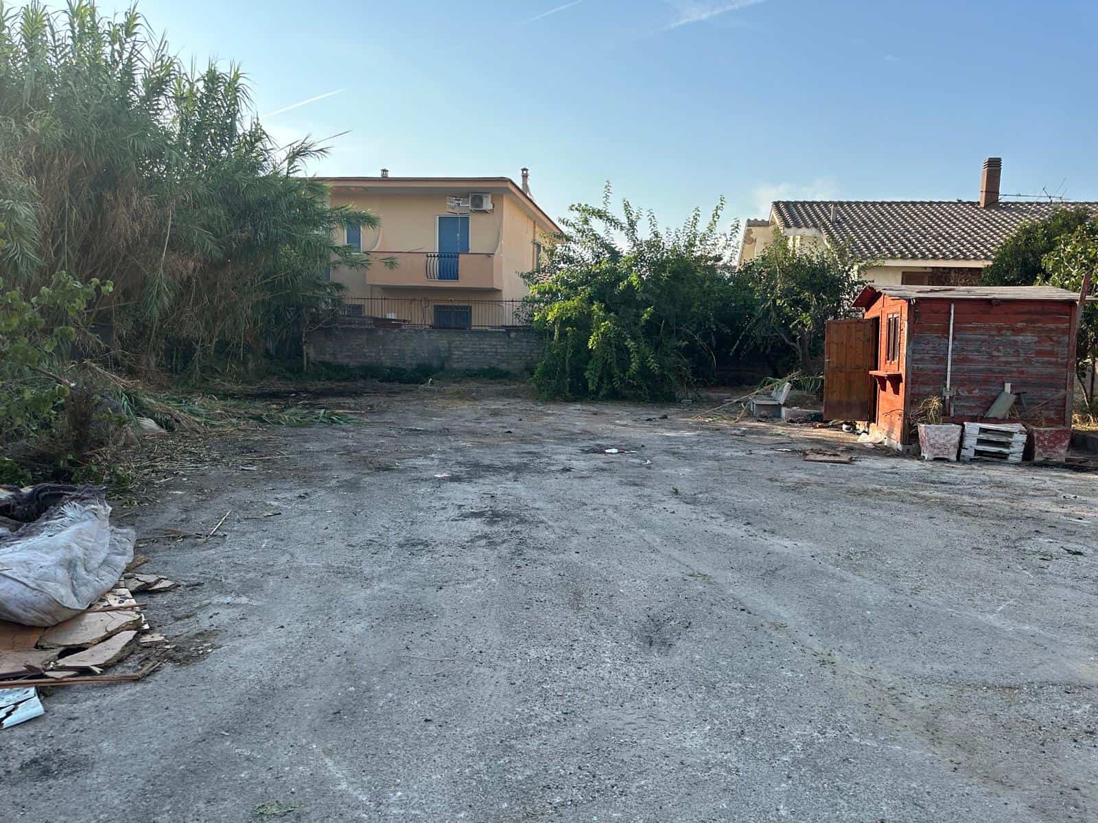 Immagine articolo