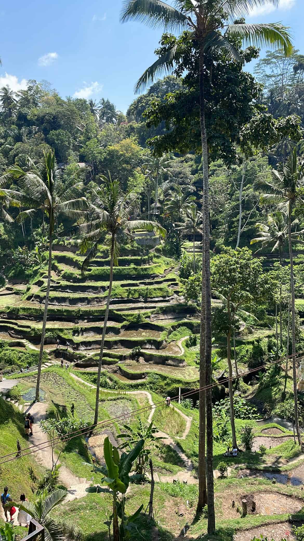 REPORTAGE. Viaggio alla scoperta dell’Indonesia, tra bellezze naturalistiche e problemi ambientali