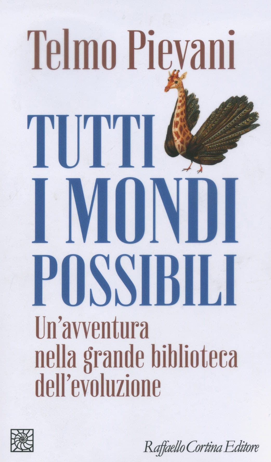 Immagine articolo