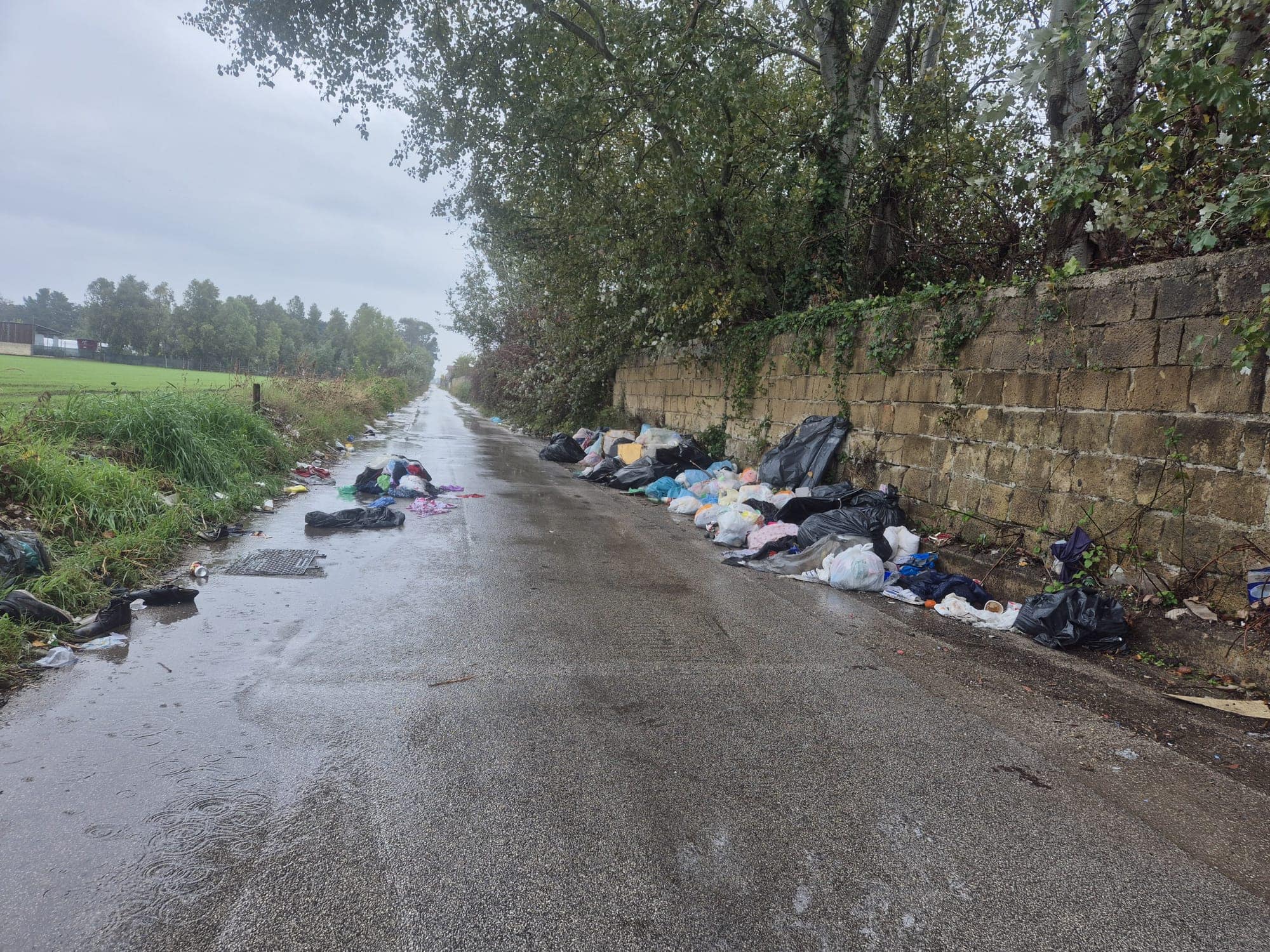 Immagine articolo