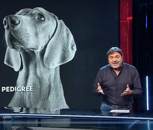 Allarme cani di razza: la denuncia di Giulia Innocenzi a Report
