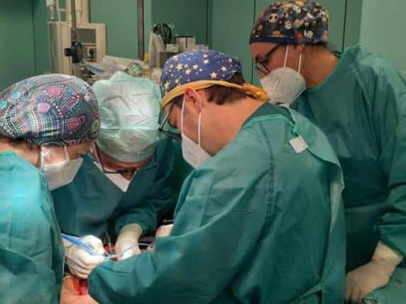 Napoli: trapianto di cuore artificiale totale al Monaldi