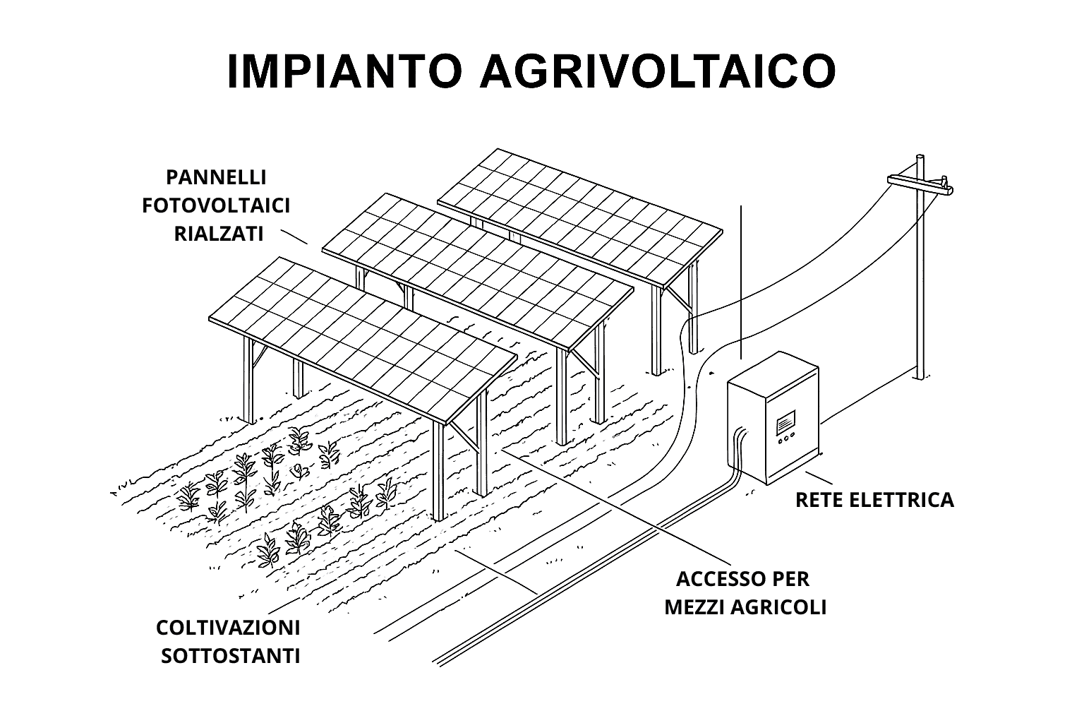 Immagine articolo
