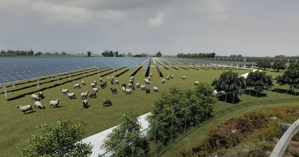 "Terra Del Sole": un impianto agrivoltaico in costruzione a Giugliano