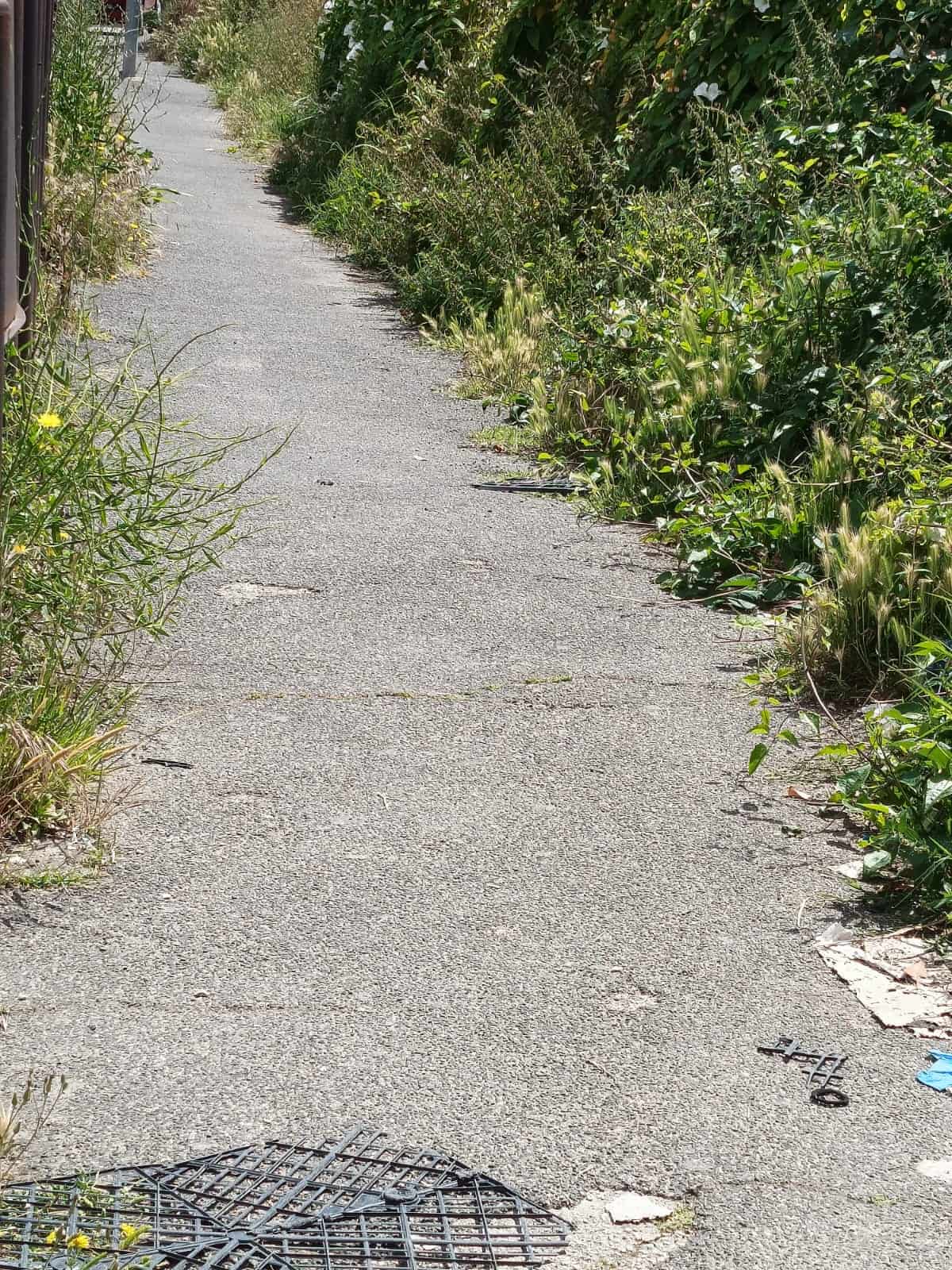 Villaricca, cittadini costretti a tagliare l'erba: "Verde pubblico abbandonato, Comune assente"