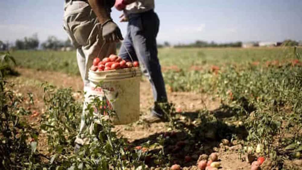 La Regione Campania vieta il lavoro all’aperto nelle ore più calde