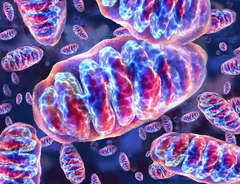 L'Italia e il mondo vietano una tecnica medica rivoluzionaria
